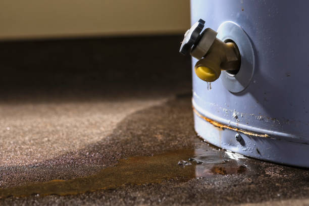 Best Ceiling water damage repair  in Brooksville, MS