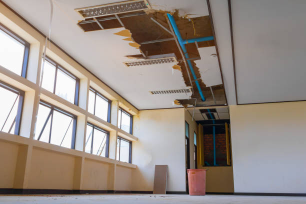 Best Basement water damage restoration  in Brooksville, MS