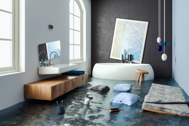 Best Water damage restoration near me  in Brooksville, MS