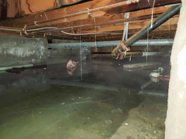 Best Fire Damage Restoration  in Brooksville, MS