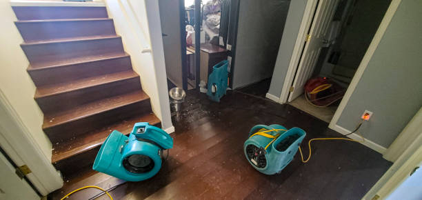 Best Flooded house restoration  in Brooksville, MS