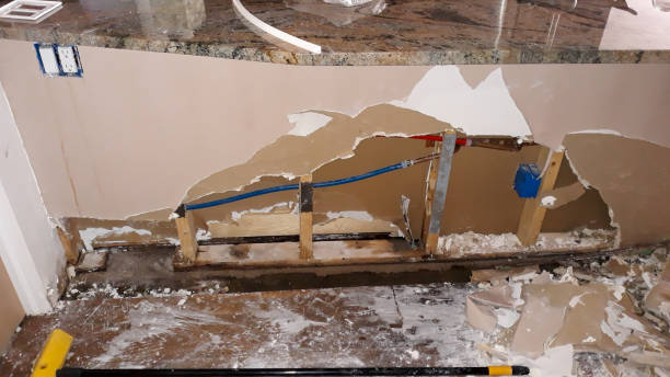 Best Water damage restoration cost  in Brooksville, MS