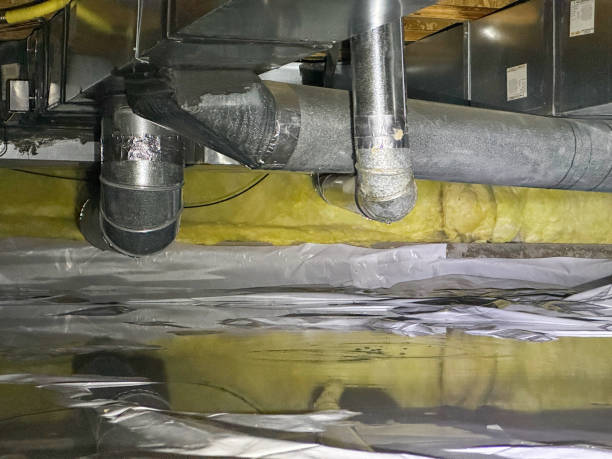 Best Mold removal after water damage  in Brooksville, MS
