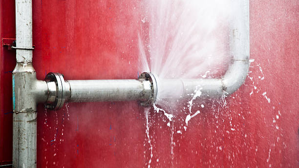 Best Flooded house restoration  in Brooksville, MS